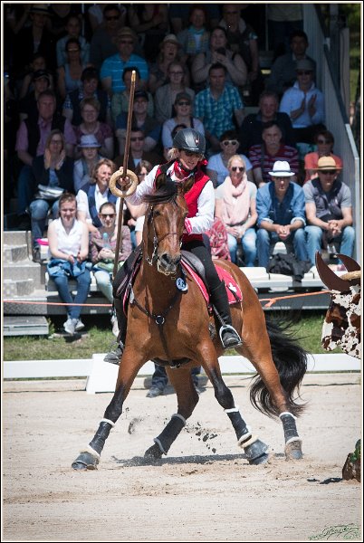 Pferd International 070